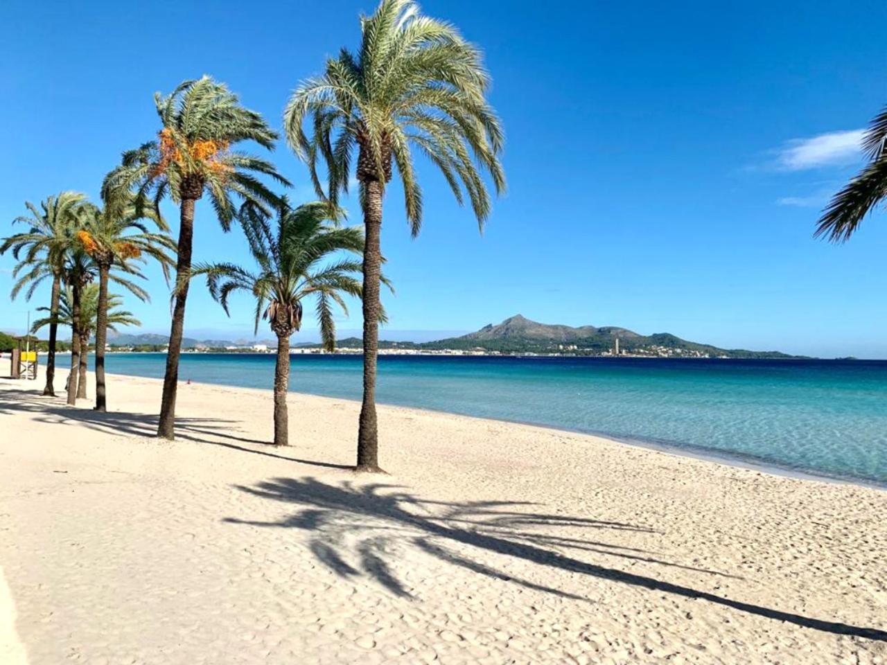 El Paraiso Alcudia  Eksteriør billede